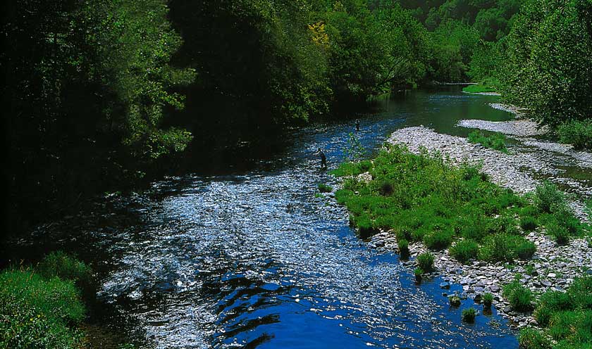 Land of Little Rivers: A Story in Photos of Catskill Fly Fishing. By Austin McK Francis